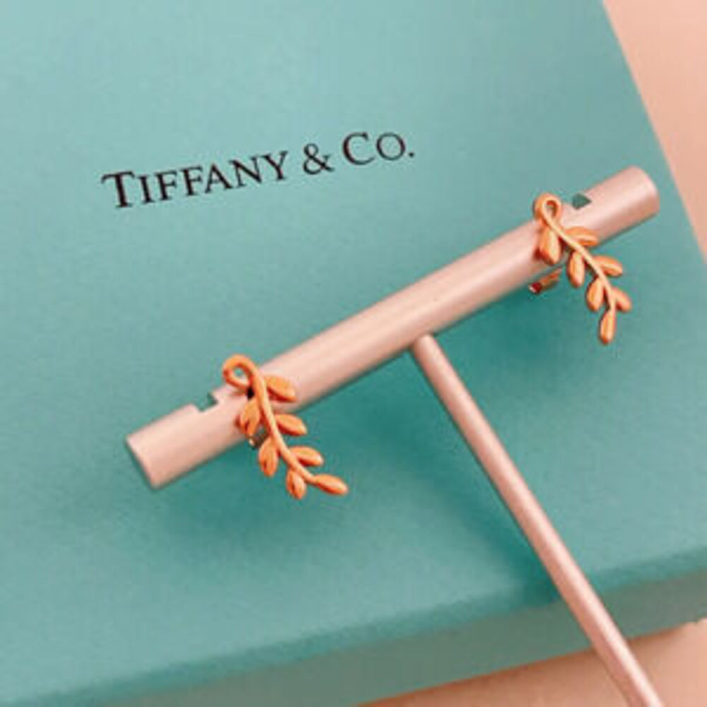 Tiffany & Co. Fashion Rose Gold Stud Earrings
